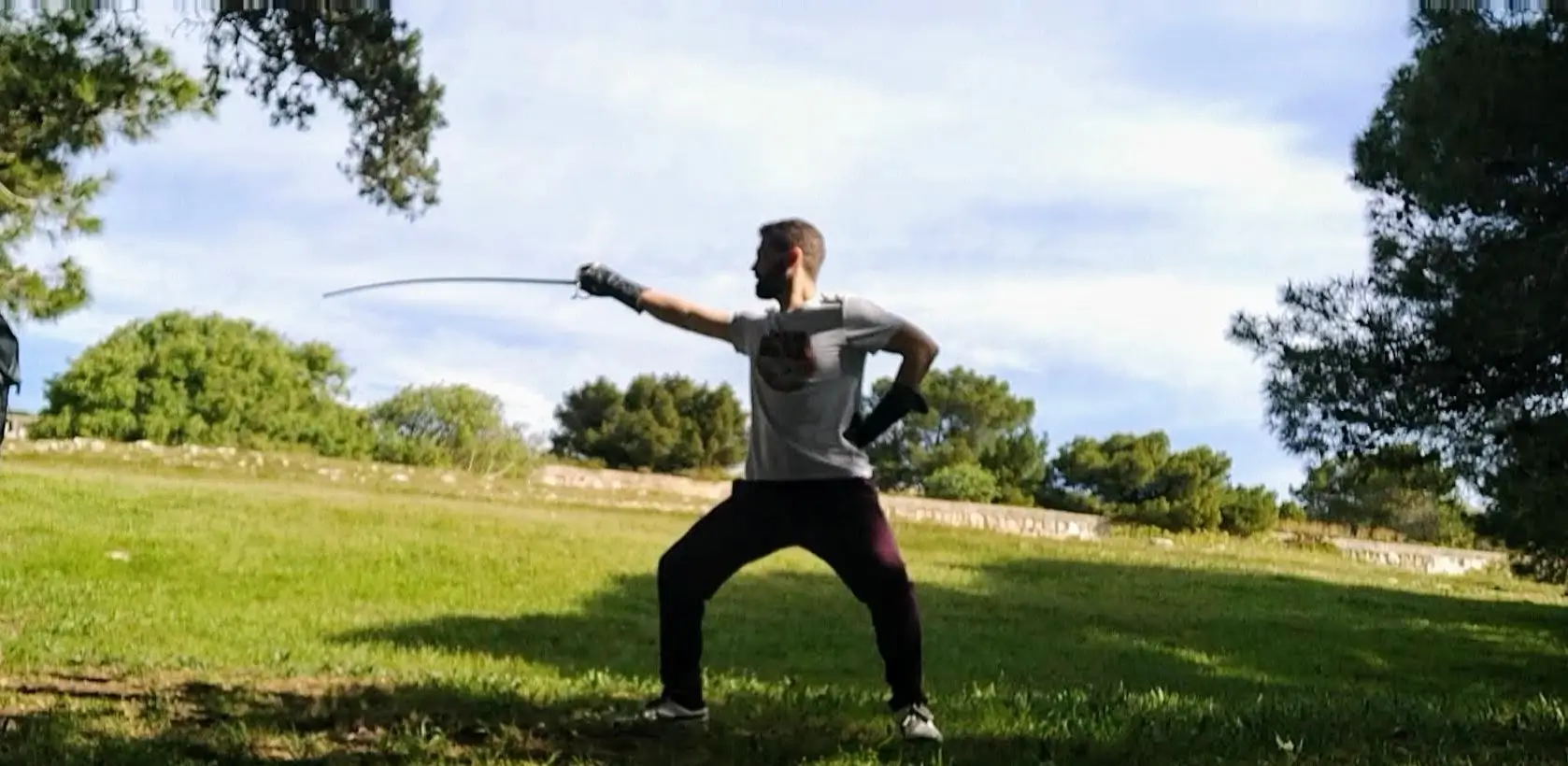 Martial Movements - page banner